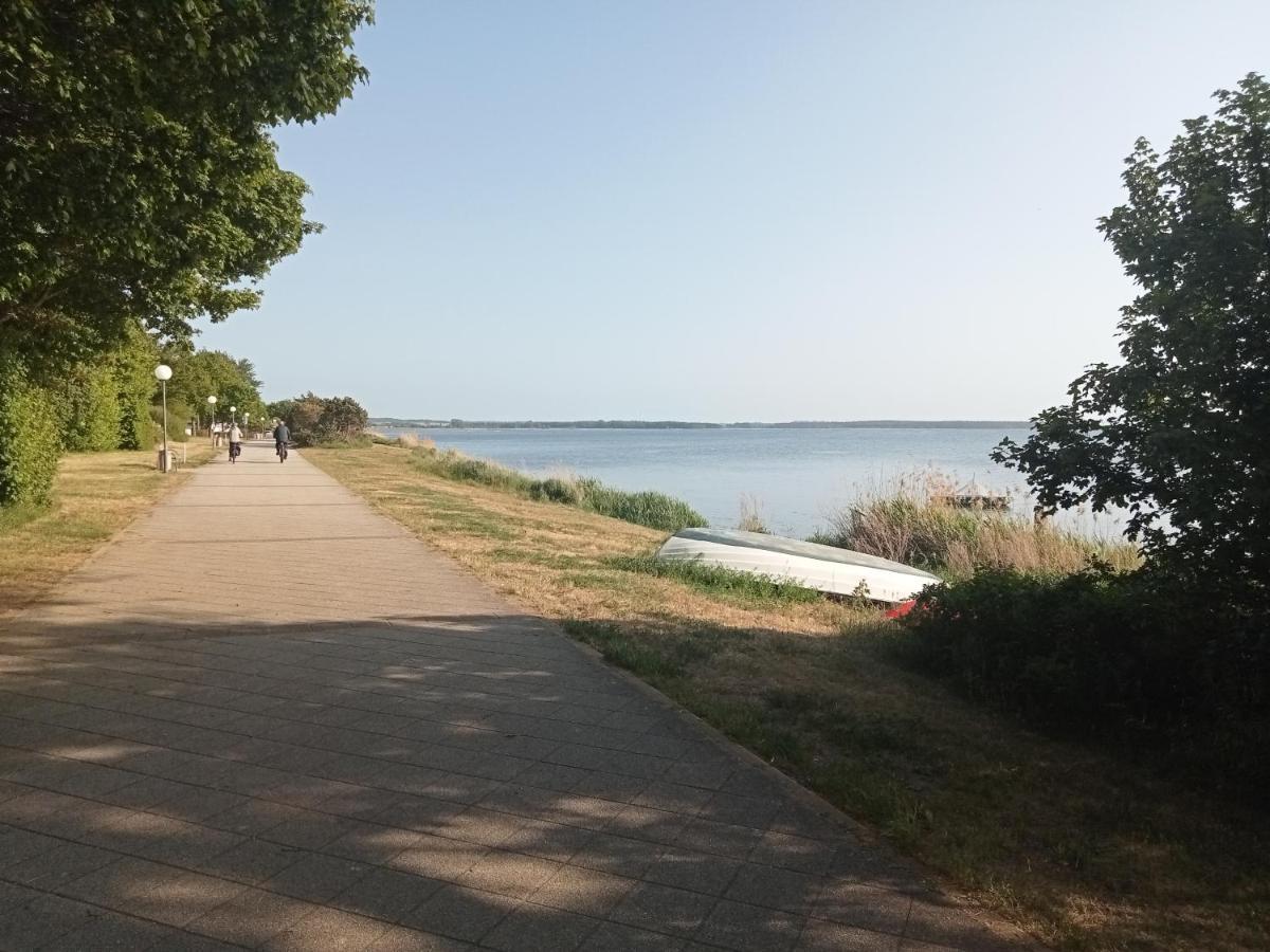 Strandgruen Rerik Buitenkant foto